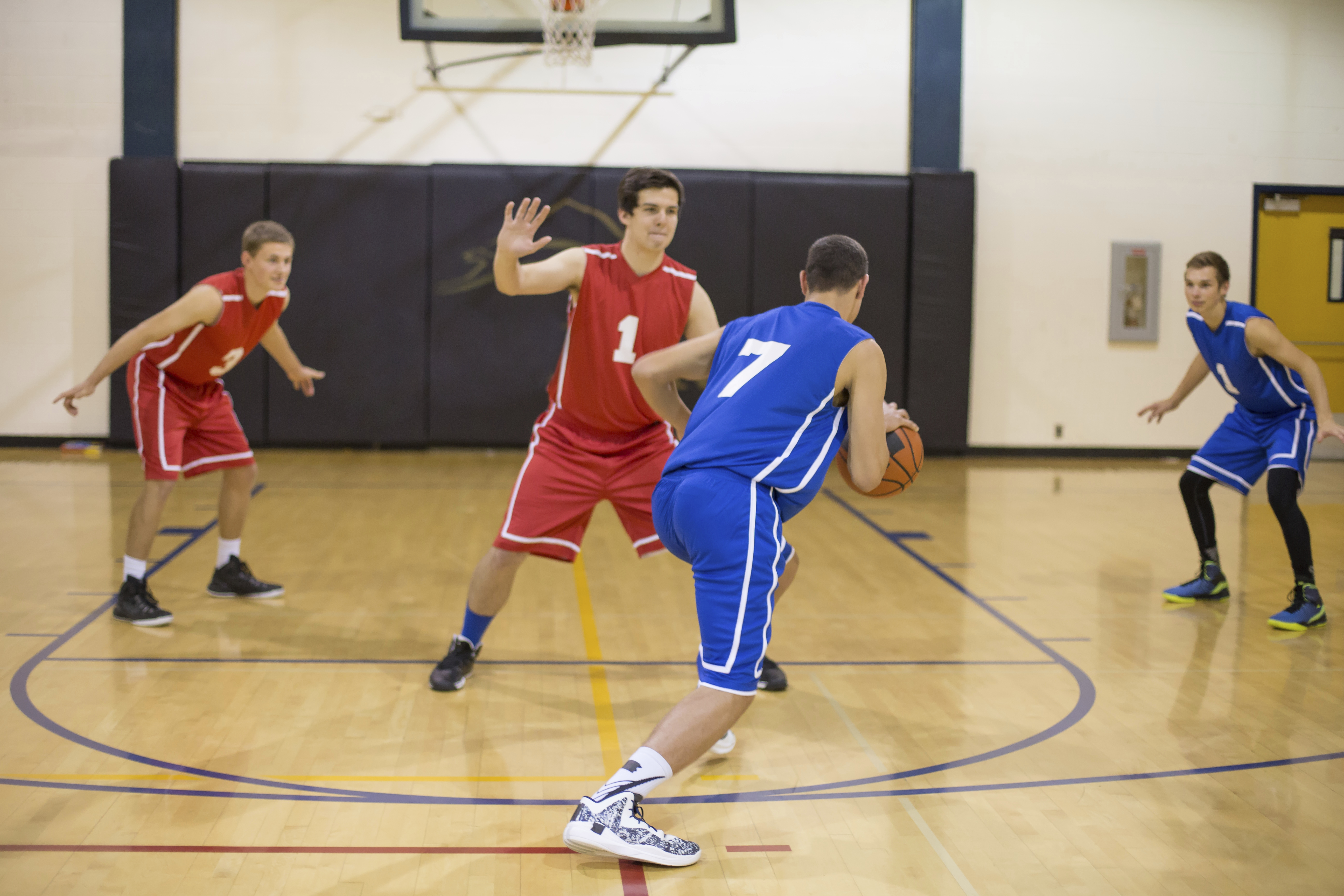 Adult Team Sports